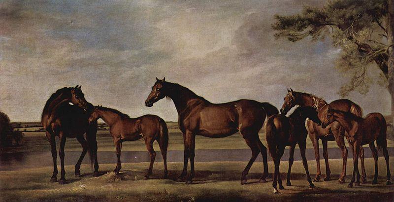 George Stubbs Stuten und Fohlen angstigen sich vor einem heraufziehenden Unwetter oil painting image